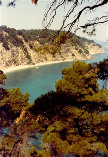 1980 Skiathos 1980-07-014 Rückseite von Tsougria_478